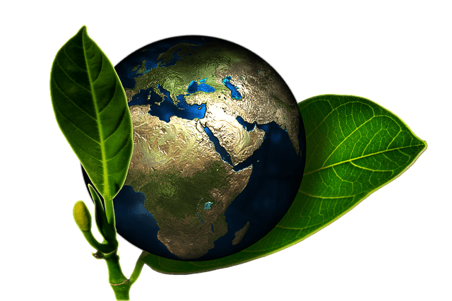 ¿Qué son los productos ecológicos?