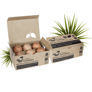 Media docena de huevos frescos ecológicos