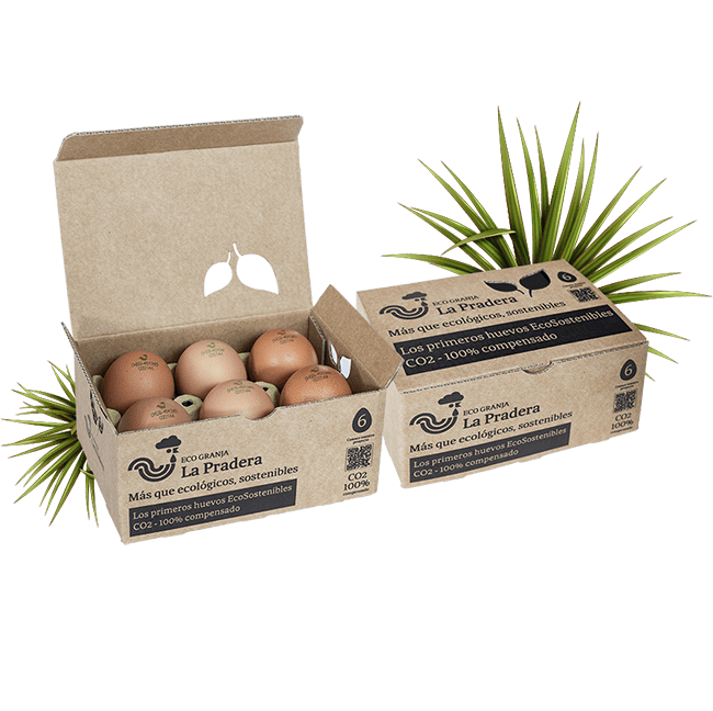 Huevos frescos: Productos de Huevos Cañavate