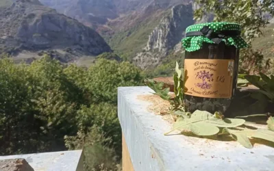 ¡VUELVE LA MIEL DE EL BIERZO A ECOMARKT!