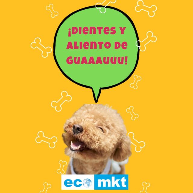 Amamos y respetamos a nuestras mascotas y por eso las cuidamos.

No siempre es fácil cuidar de la salud dental de los perros y gatos, por eso te recomendamos este práctico Spray Fresh de la marca Animally.

Te ayuda a controlar en tu mascota el sarro y a eliminar el mal aliento, gracias a su fórmula de aloe vera y menta fresca.

Disponible en la sección para mascotitas de Ecomarkt.

¡Cuidado y salud, para quien te quiere, más que nadie!
.
.
#tuecomercadonatural #ecomarkt #mascotafeliz #cuidadonaturalmascotas