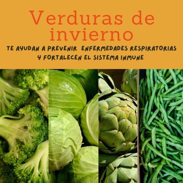 🧊En la estación más fría del año, te recomendamos incluir en tu alimentación, verduras de temporada, que te ayudan a prevenir enfermedades respiratorias y refuerzan de manera natural el sistema inmune.

💚Alcachofa
Rica en fibra, minerales y vitaminas.

Baja en calorías 🥳

💚Brócoli 
Contribuye a eliminar el colesterol malo del organismo y a mantener una buena presión arterial. 👏👏

📣Ayuda a depurar el hígado y a desintoxicarlo.

Gracias a su alto contenido de calcio, fósforo, magnesio y zinc protege los huesos y ayuda a mantenerlos fuertes.

Aporta mucha fibra, para una buena digestión.

💚Repollo
Gracias a la gran cantidad de agua que posee, es ideal para mantenernos bien hidratados.

Se puede comer crudo o cocido, anímate a elaborar sopas, guisos, ensaladas. 

Fermentado se llama chucrut y aporta grandes beneficios a la flora intestinal por considerarse un alimento probiótico.

💚Judías verdes
En realidad es una legumbre, pero en la cocina española la consumimos como verdura.

📣La OMS, recomienda incluirlo en la lista de ingredientes saludables para una alimentación sana.

Tiene un aporte calórico mínimo, por lo que es ideal para bajar y controlar el peso.👏👏

Su alto contenido en vitamina C, lo convierte en un antioxidante natural, que ayuda a nuestras células a mantenerse en buen estado.

Gracias a su aporte en vitamina A, C y zinc, estimula el correcto funcionamiento del sistema inmune. 

Su gran contenido de betacarotenos, ayuda a mantener saludable la vista y los huesos. 

Además, en Ecomarkt los miércoles encuentra un 🔴15% de descuento en toda la fruta fresca a granel y los jueves un🔴 15% de descuento en la verdura fresca.

Y tú, ¿incluyes verduras de temporada en tu alimentación?

👇 Cuéntanos 
.
.
#tuecomercadonatural #comidasanaenmadrid #tiendaecologicaenmadrid #supermercadoecoenmadrid #comidanaturalmadrid #productossaludables #productosecologicosmadrid #comunidadveganamadrid #veganfoodmadrid
#alimentacionecologica #healthyfood #ecomarkt