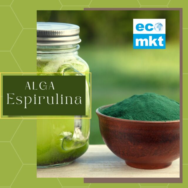 Un milagro de la naturaleza. 💚

En la antigüedad era conocida como "oro azul" y tenían razón, porque esta microalga verde azulada tiene propiedades asombrosas.

Es fuente de vitaminas, minerales, clorofila, antioxidantes, proteínas de alta calidad y ácidos grasos esenciales. 

La espirulina se hizo famosa cuando la NASA la incluyó en la dieta de los astronautas.🚀

🟢Proporciona mucha energía al organismo por su alto valor proteico.

🟢Contribuye a la salud digestiva porque las algas tienen una función probiótica, que ayuda a equilibrar la flora intestinal.

🟢Sube el estado de ánimo, al ser rica en magnesio ayuda en la síntesis de las hormonas responsables del bienestar.

🟢Recomendable en personas que padecen anemia porque es rica en hierro.

(Si tienes dudas primero consulta a tu médico o nutricionista).

🟢Al ser un alimento bajo en calorías y poseer ácido y-linoleico (antioxidante) que juega un papel fundamental en la pérdida de grasa corporal.

🟢Ayuda a reducir el colesterol malo en sangre
Gracias a sus antioxidantes como son el betacaroteno y el ácido gálico, ayuda en la prevención de enfermedades cardiovasculares.

🟢Te ayuda a desarrollar y mantener la masa muscular
Mejora la resistencia y fuerza durante el entrenamiento físico, para ganar masa muscular .

Su alto contenido de antioxidantes ayuda a la recuperación de las fibras musculares, después de la actividad física. 

🟢Desintoxica el organismo
Mantiene saludables las células del hígado, las protege y desintoxica.

La espirulina se puede encontrar en varios formatos: 👉En polvo para añadirla a los  batidos, al agua o en los zumos.

👉En cápsulas, un formato cómodo para llevarlo a cualquier lugar y en forma de pasta😲como los espaguetis, para añadir tu salsa favorita y disfrutar de todos sus beneficios.

📍Visítanos en Calle de la Bañeza, 40 junto a la estación de metro Peñagrande.
Con gusto te ayudamos. 💚
.
.
#tuecomercadonatural #comidasanaenmadrid #tiendaecologicaenmadrid #supermercadoecoenmadrid #comidanaturalmadrid #productossaludables #productosecologicosmadrid #comunidadveganamadrid #veganfoodmadrid
#alimentacionecologica #healthyfood #ecomarkt